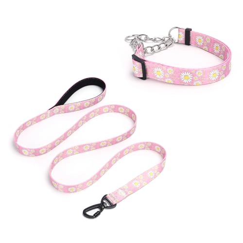 Pimaodog Martingale Hundehalsband, 1,5 m lange Hundeleine, gepolstert, Schlupfhalsband und Leine, Set mit Gänseblümchen-Blumen-Design, Edelstahlkette, modifiziertes Cinch-Halsband (Rosa, Größe M) von Pimaodog