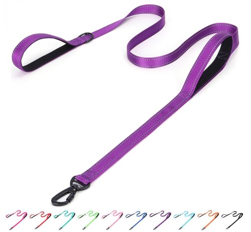 Pimaodog Reflektierende Nylon-Hundeleine, strapazierfähig, gepolstert, zwei Griffe, reflektierende Leine für Nachtsicherheitstraining, ideal für kleine, mittelgroße und große Rassen, Violett, 1,5 m x Pimaodog Reflektierende Nylon-Hundeleine, strapazierfähig, gepolstert, zwei Griffe, reflektierende Leine für Nachtsicherheitstraining, ideal für kleine, mittelgroße und große Rassen, Violett, 1,5 m x von Pimaodog