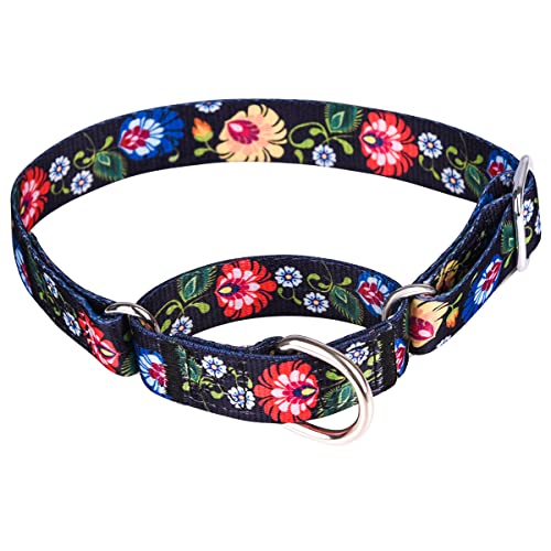 Pimaodog Robustes Nylon-Hundehalsband, verstellbares Martingale-Hundehalsband für Spaziergänge, Training, Jungen und Mädchen, Hunde, mittelgroße und große Hunde (L: 45–53 cm, schwarz) von Pimaodog