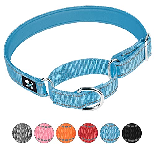 Pimaodog Verstellbares Martingale Sicherheitstraining-Hundehalsband, weiches Neopren gepolstertes, atmungsaktives Nylon-Haustierhalsband für kleine, mittelgroße und große Hunde (L, blau) von Pimaodog