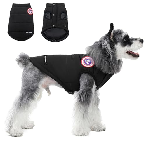 PINA Hund Wintermantel, Hunde Winterjacke mit Knöpfen und Reißverschluss, Hund Winterweste Winddicht und Warm, Geeignet für Kleine bis Große Hunde, Schwarz, M PINA Hund Wintermantel, Hunde Winterjacke mit Knöpfen und Reißverschluss, Hund Winterweste Winddicht und Warm, Geeignet für Kleine bis Große Hunde, Schwarz, M von Pina