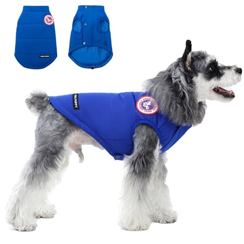 PINA Hunde-Wintermantel, Hunde-Winterjacke mit Knöpfen und Reißverschluss, Hunde-Winterweste, winddicht und warm, geeignet für kleine bis große Hunde, Blau, XL PINA Hunde-Wintermantel, Hunde-Winterjacke mit Knöpfen und Reißverschluss, Hunde-Winterweste, winddicht und warm, geeignet für kleine bis große Hunde, Blau, XL von Pina