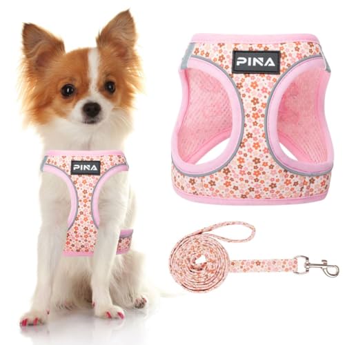 PINA Hundegeschirr für kleine Hunde, kein Ziehen, kleines Hundegeschirr und Leine, kein Würgen, atmungsaktives Netzgewebe, leicht, verstellbar, für kleine und mittelgroße Hunde, einfach an- und PINA Hundegeschirr für kleine Hunde, kein Ziehen, kleines Hundegeschirr und Leine, kein Würgen, atmungsaktives Netzgewebe, leicht, verstellbar, für kleine und mittelgroße Hunde, einfach an- und von Pina