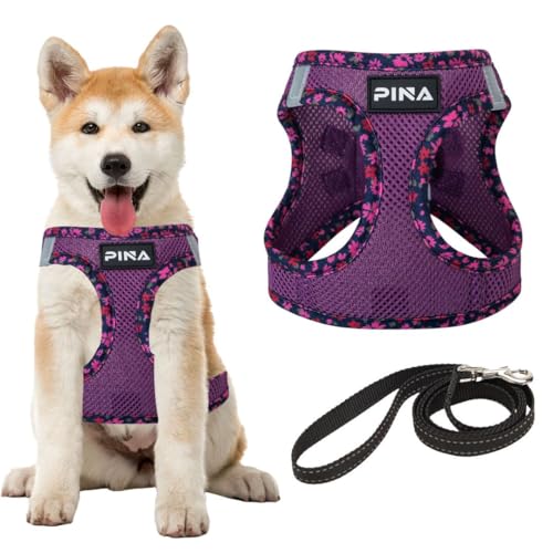 PINA Hundegeschirr und Leine, Set für kleine bis mittelgroße Hunde, kein Ziehen, kein Würgen, atmungsaktive Netzweste, leicht, verstellbar, einfach an- und auszuziehen PINA Hundegeschirr und Leine, Set für kleine bis mittelgroße Hunde, kein Ziehen, kein Würgen, atmungsaktive Netzweste, leicht, verstellbar, einfach an- und auszuziehen von Pina