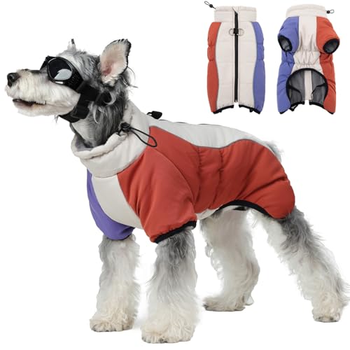 PINA Wintermantel für Hunde - Wasserdichte, warme Jacke mit verstellbarem Kragen, reflektierendem Gurt für kleine bis große Hunde von Pina