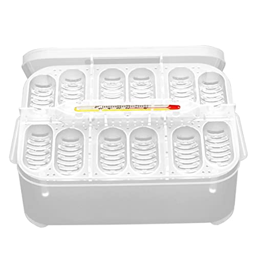 12 Gitter Reptilien -Brutschachtel, Reptilien -Ei -Inkubator Professionelles Plastik Reptilien -Zuchtbox Reptilien Inkubationsbox Reptile Inkubator Eierschale Schluckkasten für Schildkröte Gecko EIDE 12 Gitter Reptilien -Brutschachtel, Reptilien -Ei -Inkubator Professionelles Plastik Reptilien -Zuchtbox Reptilien Inkubationsbox Reptile Inkubator Eierschale Schluckkasten für Schildkröte Gecko EIDE von Pineeseatile