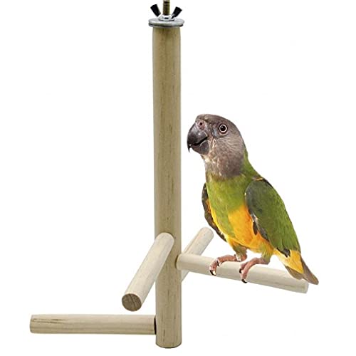 1 Stück Vogel Spielzeug Holz Streich Zubehör Parrot Stand Schwingkäfig Papagei Seil Hängen Stehendes Training Spielzeug von PiniceCore
