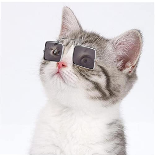 Haustier Sonnenbrille Schöne Hundekatze Gläser Katze Haustier Liefert Augenbrillen Für Kleine Hundekatze Fotos-Requisiten von PiniceCore