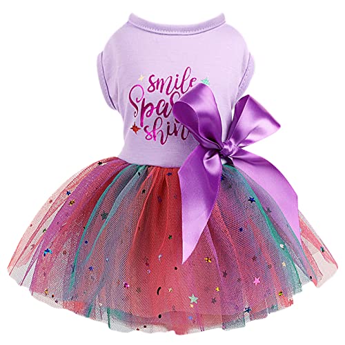 Bowknot Hundekleider für kleine mittelgroße große Hunde Welpen Kleidung Sommer Prinzessin Haustier Kleider Prinzessin Rock Haustier Hund Spitzenkleid Outfit Bekleidung Weibliches Tutu (Small) von PinkBow