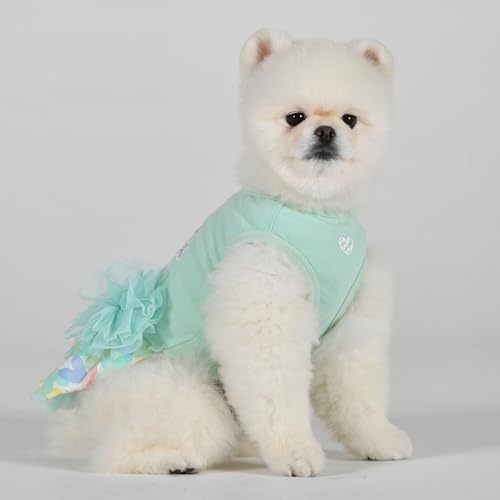 Pinkaholic New York Diana Hundekleid für Frühjahr/Sommer, trendig, modisch, niedlich, Minzgrün, Größe L von Pinkaholic New York