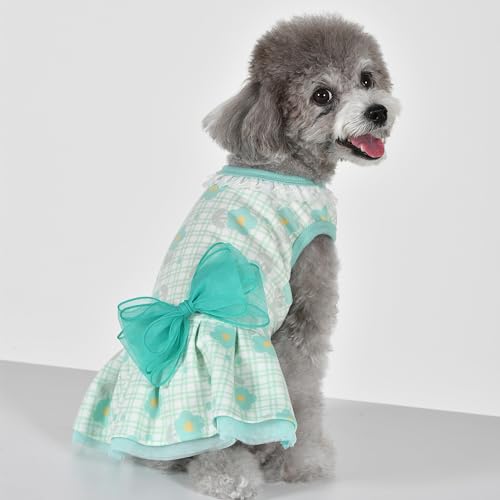 Pinkaholic New York Sophie Hundekleid für Frühjahr/Sommer, trendig, modisch, niedlich, Minzgrün, Größe M von Pinkaholic New York