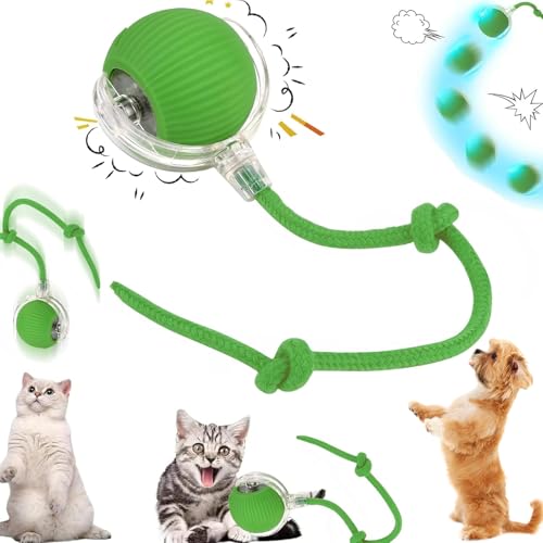 Pipihome Interaktives Katzenspielzeug Elektrisch, Chewie Viral Rollball mit Schwanz für Katzen, Intelligentes Katzenspielzeug 360° Automatisch Power Spielball für Katzen Hunde Pipihome Interaktives Katzenspielzeug Elektrisch, Chewie Viral Rollball mit Schwanz für Katzen, Intelligentes Katzenspielzeug 360° Automatisch Power Spielball für Katzen Hunde von Pipihome