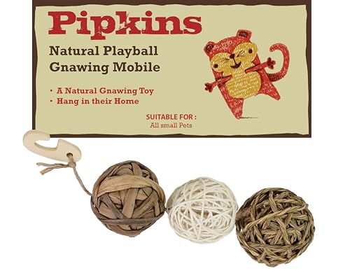 Pipkins Natürlicher Spielball - Hängemobil für Meerschweinchen, Kaninchen und Hamster Zuhause - Kaninchenspielzeug, Meerschweinchen Spielzeug, Hamster und Käfig Zubehör von Pipkins