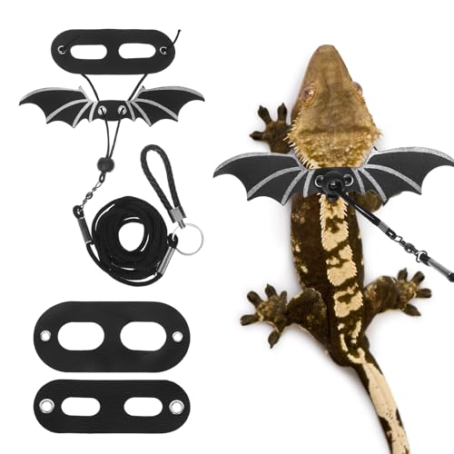 Piriuuo Set mit Leine und Geschirr für Bartagamen, weiches Leder, 3 Größen, Eidechsenleine mit Perücke, verstellbares Bartagagengeschirr, abnehmbares Eidechsenflügel-Geschirr für Reptilien und andere Piriuuo Set mit Leine und Geschirr für Bartagamen, weiches Leder, 3 Größen, Eidechsenleine mit Perücke, verstellbares Bartagagengeschirr, abnehmbares Eidechsenflügel-Geschirr für Reptilien und andere von Piriuuo