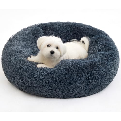 Pisi Bili Hundebett Katzenbett 60 cm Waschbar flauschig orthopädische Hundebetten große und kleine Hunde Katzenschlafplatz für Katzen Donut - Dunkelgrau von Pisi Bili