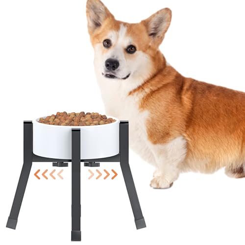 Erhöhter Hundenapfständer für kleine und mittelgroße Hunde, verstellbar, erhöhter Hundenapf, passend für 15,2–20,3 cm große Näpfe, 17,8 cm hoch, Einzelfutter- und Wasserständer (Näpfe nicht im von Piskyet