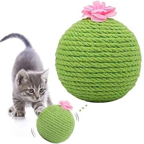 Kaktus-Sisal-Seil-Katzenballspielzeug mit Katzenminze Bissfest Verschleißfest Interaktives Spielzeug für Kätzchen und Katzen (Grün) von Pissente