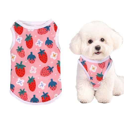 Pistha Pinkes Hunde-Shirt, niedlich, Sommer-Hundekleidung, weiches Haustier-T-Shirt, bedruckt, Welpenhemd für kleine, mittelgroße Hunde, Katzen, Mädchen (Erdbeere 2, M) von Pistha