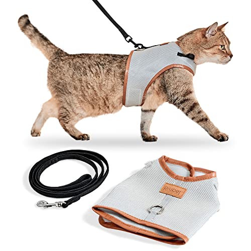 PiuPet® Katzengeschirr (M) mit 1,2m Leine I ausbruchsicher I Geschirr Katze I Katzengeschirr ausbruchsicher I Katzenleine mit Geschirr für Katzen I Katzen Leine von PiuPet