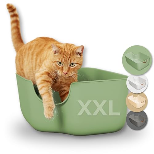 PiuPet® Katzentoilette XXL - Moderne Toilette für Katzen - Katzenklo groß mit hohen Wänden - großes Katzenklo - Offenes Katzenklo | Katzentoiletten | Katzen Klo | Katzenklo XXL (Grün) von PiuPet