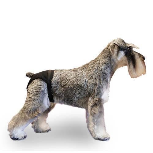 IBAÑEZ Waschbare Windel für Hunde weiblich Größe M von Piumer