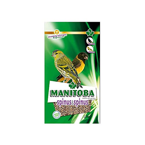 Manitoba Vogelfutter 2,5 kg, Geschmacklos, Allergenfrei, Medium, Für Vogelbesitzer und Vogelfreunde von Piumer