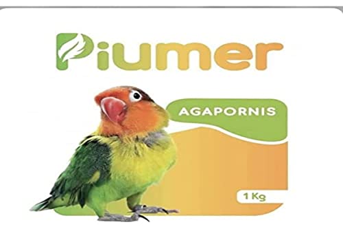 Piumer | Premium para Agapornis | 1 kg | Mezcla Ideal de Semillas | Mixtura de Calidad para Unseparables | Cubre Las Necesidades Nutricionales de tu Mascota von Piumer