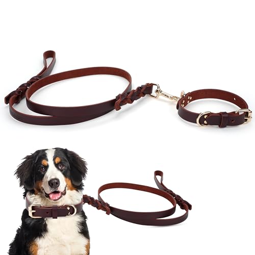 Piuness Hundehalsband und Leine, 100 % echtes Leder, verstellbare Passform mit robuster Schnalle, stilvoller Komfort für Hunde (Größe S) von Piuness