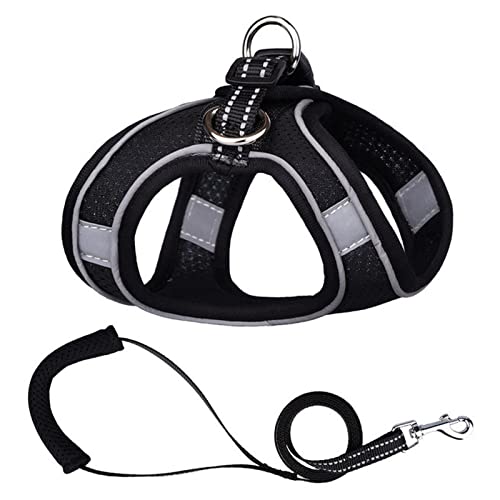Sicherheitswesten Reflektierende Hundegeschirr Leine Set Nylon Haustier Katze Harness Hundeleine Verstellbare Haustiergurtweste for Welpen Medium Hund Haustierbedarf Reflektierende Westen (Color : Bl Sicherheitswesten Reflektierende Hundegeschirr Leine Set Nylon Haustier Katze Harness Hundeleine Verstellbare Haustiergurtweste for Welpen Medium Hund Haustierbedarf Reflektierende Westen (Color : Bl von PiurUf