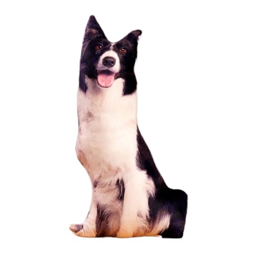 Biegbarer Hunde-Überwurf und bequemes Spielzeugkissen mit 3D-Augen, Geschenk für Freundin, Wohnaccessoires Biegbarer Hunde-Überwurf und bequemes Spielzeugkissen mit 3D-Augen, Geschenk für Freundin, Wohnaccessoires von Pjeghbvop