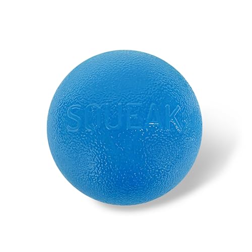 Planet Dog Orbee-Tuff Squeak - Quietsch-Ball für Hunde - Spielzeug zum Apportieren - Blau von Planet Dog
