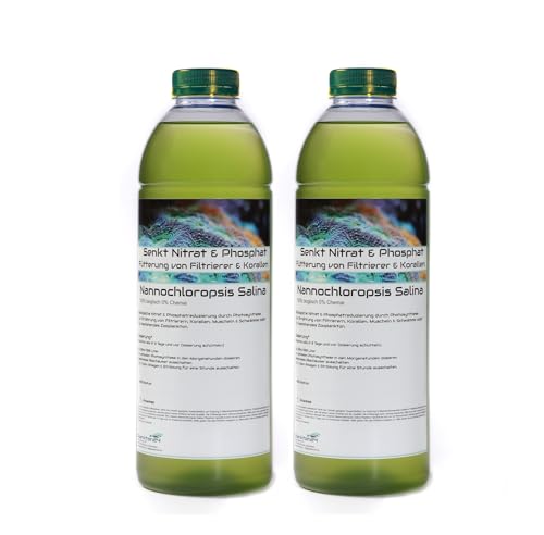 Plankton24 2 Liter Nannochloropsis Salina senkt Nitrat & Phosphat Plankton Meerwasser Korallen Phytoplankton LPS von Plankton24