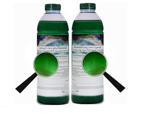 Plankton24 2 Liter Synechococcus PhytoPlankton Cyano mit Einem EXTRA Schuss Zooplankton Tigerpods von Plankton24