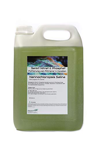 5 Liter Nannochloropsis Salina senkt Nitrat & Phosphat Plankton Meerwasser Korallen Phytoplankton LPS von Plankton24