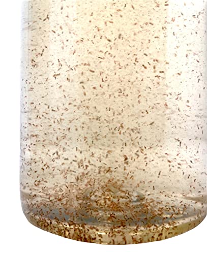 Lebendfutter Tigerpods 500ml Tiggerpods Tigriopus californicus Rädertierchen Mix Meerwasser lebendes Futter Zooplankton von Plankton24