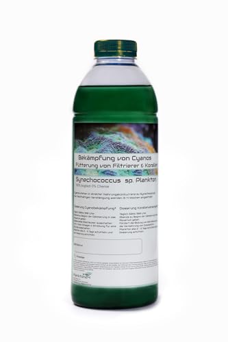 Plankton24 PhytoPlankton Synechococcus sp. (2 Liter) Cyano Stopp Fütterung von Korallen und Filtrier von Plankton24