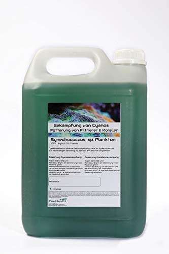 Plankton24 PhytoPlankton Synechococcus sp. (5 Liter) Cyano Stopp Fütterung von Korallen und Filtrier … von Plankton24
