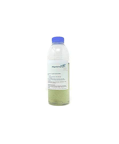 Plankton24 Lebendfutter Artemia Salina - Nauplien Salinenkrebse 100g Zooplankton für Fisch, Erwachsene von Plankton24