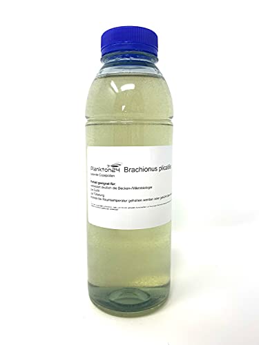 Plankton24 Lebendfutter Brachionus plicatilis - Lebende Copepoden 500 ml Zooplankton für Fischhalter, Aquarianer - Fischfutter Plankton24 Lebendfutter Brachionus plicatilis - Lebende Copepoden 500 ml Zooplankton für Fischhalter, Aquarianer - Fischfutter von Plankton24