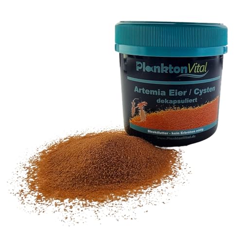 PlanktonVital Artemia Eier dekapsuliert entkapselt ohne Schale Brine Shrimp Eggs Salinenkrebse Cysten Aufzuchtsfutter kein Erbrüten direktes verfüttern für Fischlafen Jungbrut Garnelen (250 ml) von PlanktonVital