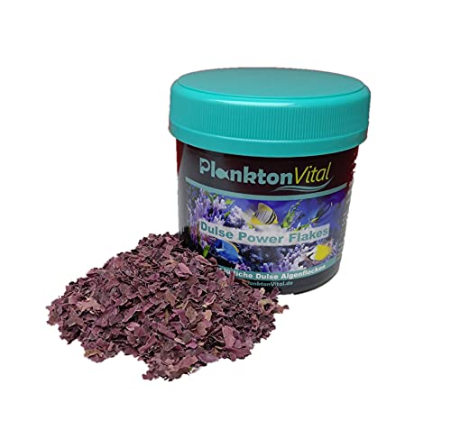 PlanktonVital Dulse Power Flakes Lappentang Flocken Seaweed Algenfutter Meerwasser Fischfutter Algen Dulse Lappentang Dulse Flocken (250ml Dulse Flocken) von PlanktonVital