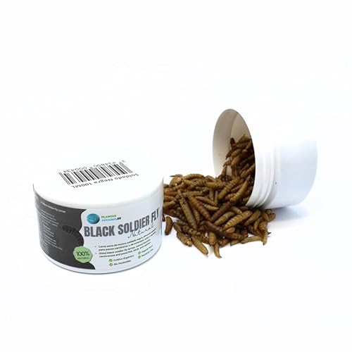 Larva Black Soldier Fly Aquariumpflanzen, 100 ml, 100 % natürliches Futter auf Insektenbasis für Fische, Vögel und Reptilien, reich an Protein und Vitaminen Larva Black Soldier Fly Aquariumpflanzen, 100 ml, 100 % natürliches Futter auf Insektenbasis für Fische, Vögel und Reptilien, reich an Protein und Vitaminen von PlantasAcuario