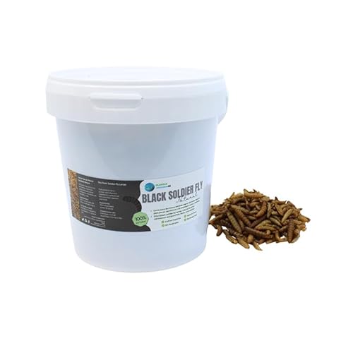 Larva Black Soldier Fly Aquariumpflanzen, 1000 ml, 100% natürliches Futter auf Insektenbasis für Fische, Vögel und Reptilien, reich an Protein und Vitaminen Larva Black Soldier Fly Aquariumpflanzen, 1000 ml, 100% natürliches Futter auf Insektenbasis für Fische, Vögel und Reptilien, reich an Protein und Vitaminen von PlantasAcuario