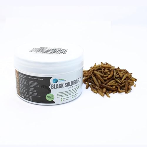 Larva Black Soldier Fly Aquariumpflanzen, 225 ml, 100 % natürliches Futter auf Insektenbasis für Fische, Vögel und Reptilien, reich an Protein und Vitaminen Larva Black Soldier Fly Aquariumpflanzen, 225 ml, 100 % natürliches Futter auf Insektenbasis für Fische, Vögel und Reptilien, reich an Protein und Vitaminen von PlantasAcuario