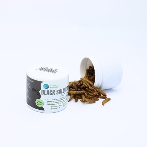 Larva Black Soldier Fly Aquariumpflanzen, 50 ml, 100% natürliches Futter auf Insektenbasis für Fische, Vögel und Reptilien, reich an Protein und Vitaminen Larva Black Soldier Fly Aquariumpflanzen, 50 ml, 100% natürliches Futter auf Insektenbasis für Fische, Vögel und Reptilien, reich an Protein und Vitaminen von PlantasAcuario