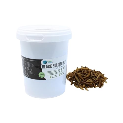 Larva Black Soldier Fly Aquariumpflanzen, 500 ml, 100% natürliches Futter auf Insektenbasis für Fische, Vögel und Reptilien, reich an Protein und Vitaminen von PlantasAcuario