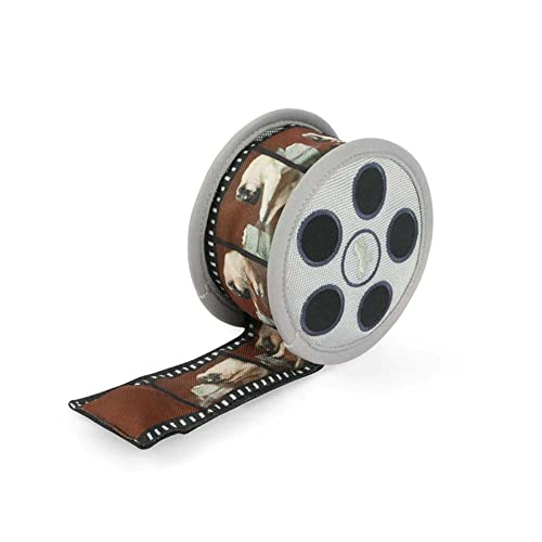 Hollywoof Cinema Collection - Momo’s Movie Reel (New!) von P.L.A.Y. – Pet Lifestyle & You