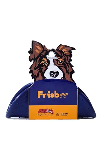 PlayDog Frisbee – Weiches & bissfestes Hundefrisbee aus Naturgummi, fliegt stabil, ideal für Outdoor-Spiel, 100% sicher von PlayDog
