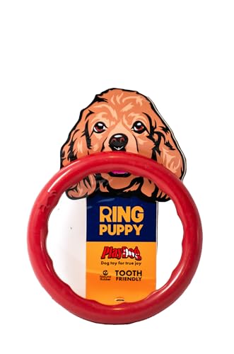 PlayDog Ring Puppy – Weicher Naturgummi-Ring für Welpen, zahnfreundlich, leicht & sicher, ideal für Spiel und Zahnentwicklung PlayDog Ring Puppy – Weicher Naturgummi-Ring für Welpen, zahnfreundlich, leicht & sicher, ideal für Spiel und Zahnentwicklung von PlayDog
