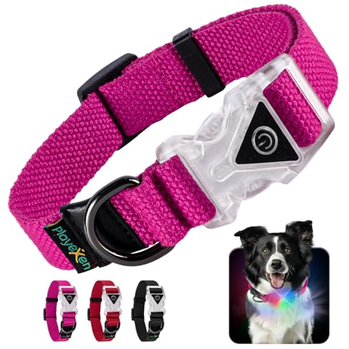 Leuchtendes Hundehalsband Verstellbares Hundehalsband aus weicher Baumwolle für Hunde & Katzen Kleine Mittlere Große LED-Hundehalsband 2 Blitzmodi Hundehalsbänder 35-50/2,5 cm (M), Rosa von Playexen
